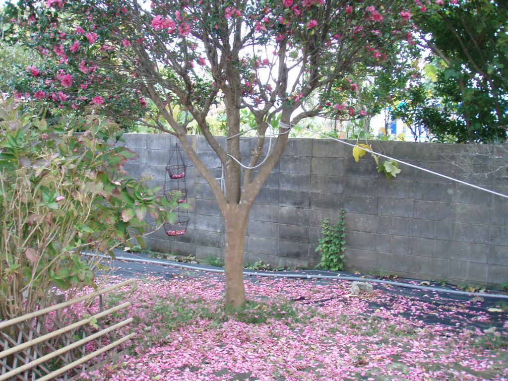 Guesthouse Hokkai Nanao Exterior foto